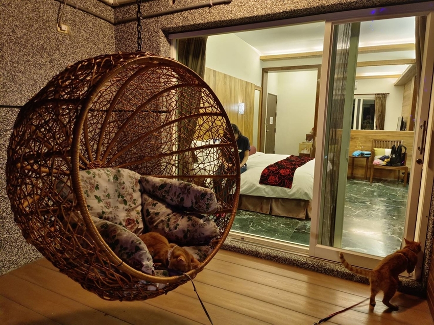 【花蓮.玉里】安通美人湯溫泉。山灣水月景觀溫泉會館。寵物友善清潔費$500+碳酸氫鈉鹽泉美人湯保養皮膚