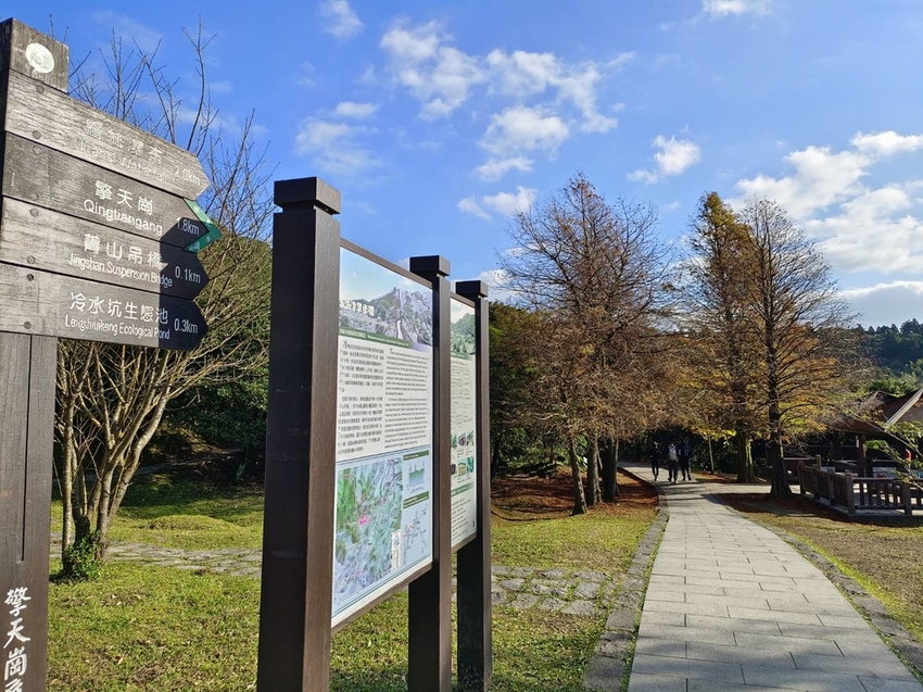 196321.jpg - 【台北.陽明山】冷水坑賞落羽松走至擎天崗大草原步道賞芒草。秋季限定美景貓貓森林寫真