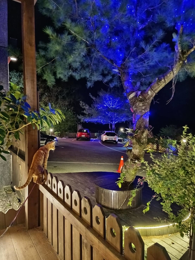 【花蓮.玉里】安通美人湯溫泉。山灣水月景觀溫泉會館。寵物友善清潔費$500+碳酸氫鈉鹽泉美人湯保養皮膚