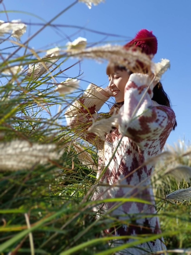 196285.jpg - 【台北.陽明山】冷水坑賞落羽松走至擎天崗大草原步道賞芒草。秋季限定美景貓貓森林寫真