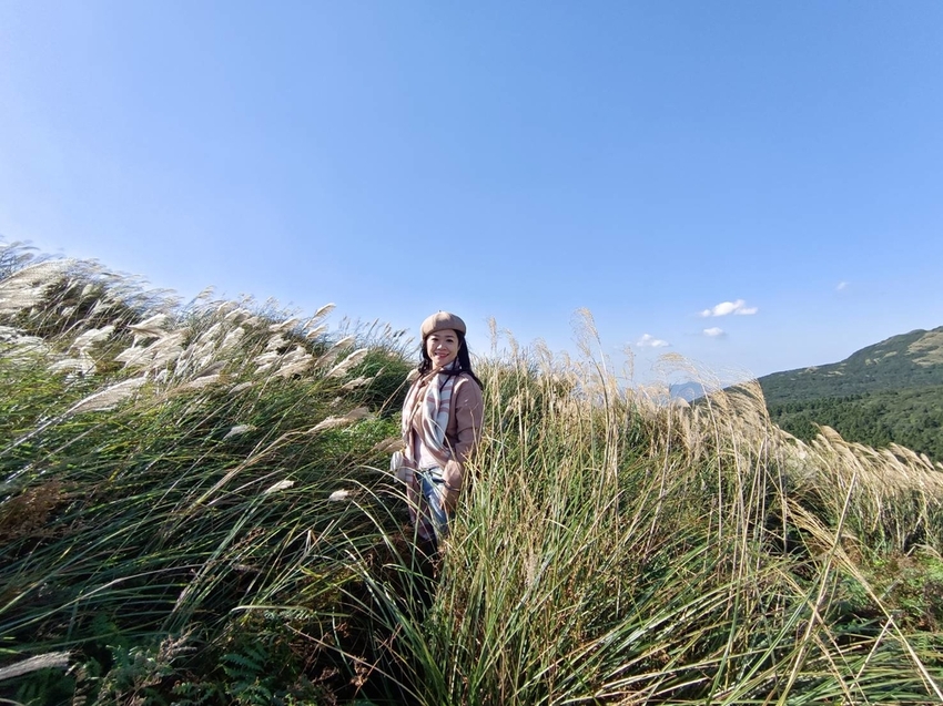 196290.jpg - 【台北.陽明山】冷水坑賞落羽松走至擎天崗大草原步道賞芒草。秋季限定美景貓貓森林寫真
