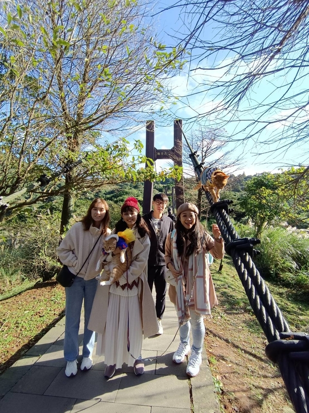 196325.jpg - 【台北.陽明山】冷水坑賞落羽松走至擎天崗大草原步道賞芒草。秋季限定美景貓貓森林寫真