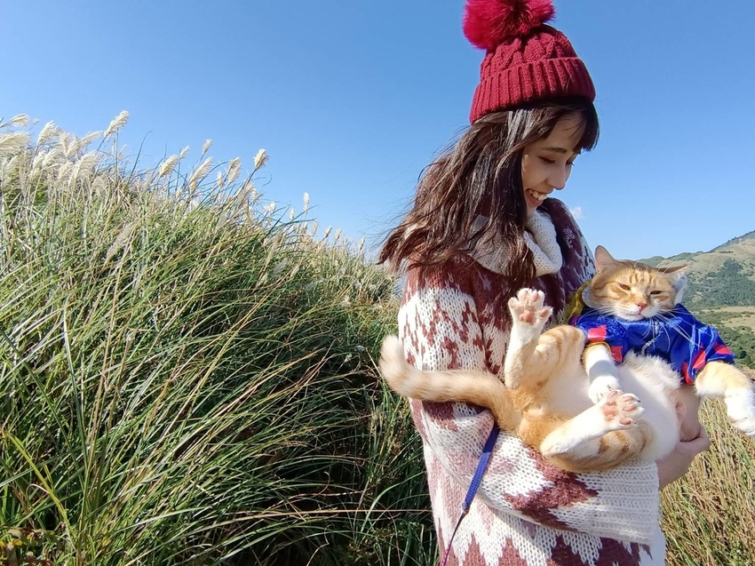 196287.jpg - 【台北.陽明山】冷水坑賞落羽松走至擎天崗大草原步道賞芒草。秋季限定美景貓貓森林寫真