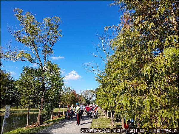 月眉人工濕地06-次生林區步道.jpg