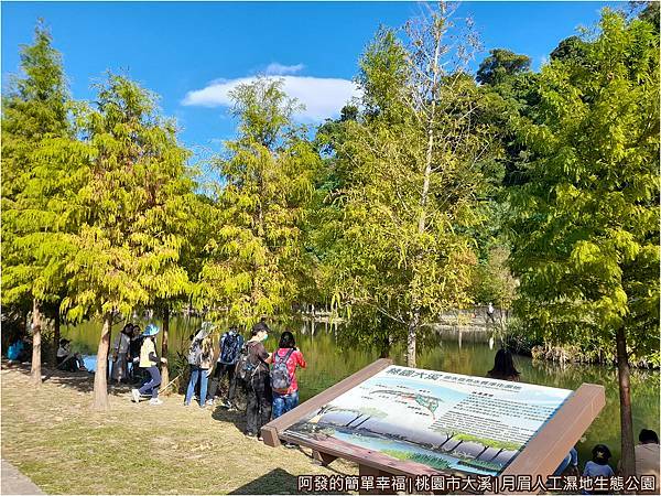 月眉人工濕地07-林澤溼地區旁.jpg