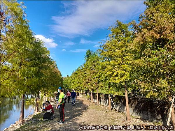 月眉人工濕地12-湖畔旁步道.jpg