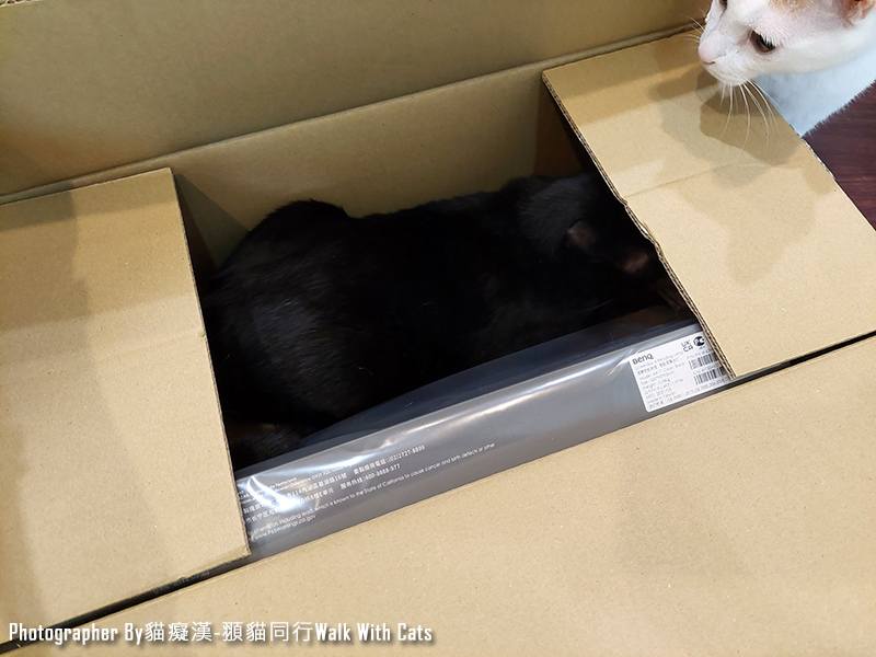 BenQ螢幕智能掛燈