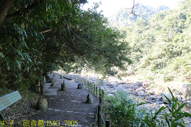 IMG_7905.jpg - 苗栗南庄 蓬萊溪護魚步道 20211203