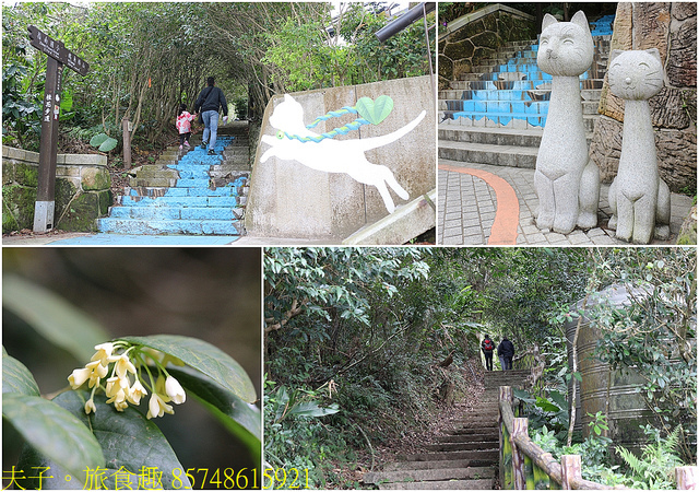 85748615921.jpg - 貓空 2021 孝道傳承感恩封茶暨冬至迎茶神 20211218