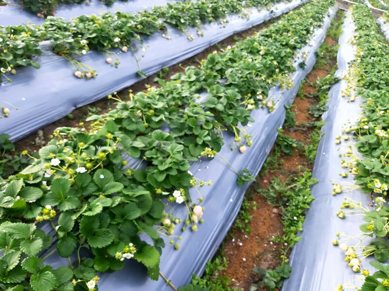 268502287_310699940795389_827753473393115755_n