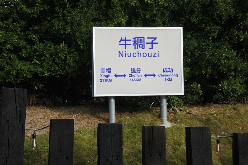 DSC_5737.JPG DSC_5737.JPG