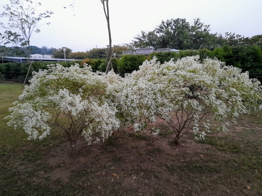 20211222_172859.jpg 20211222_172859.jpg