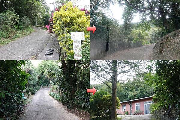 往金好筍農場山路.jpg