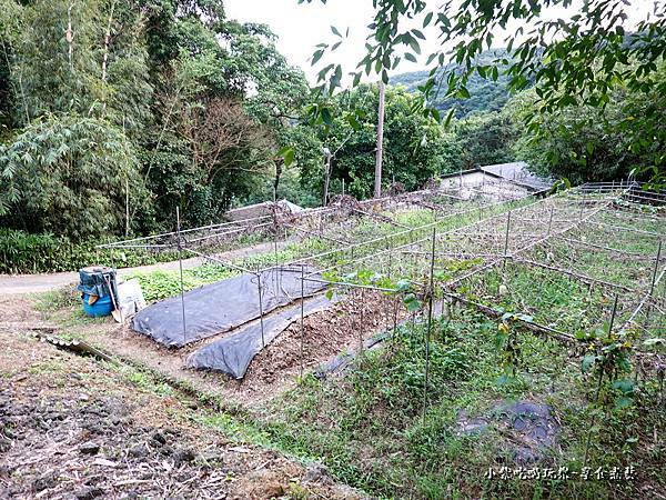 挖白雪玉山藥-金好筍農場 (3).jpg