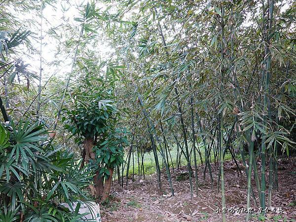 金好筍筍園 (3).jpg