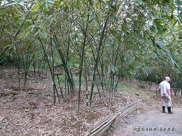 金好筍筍園 (1).jpg