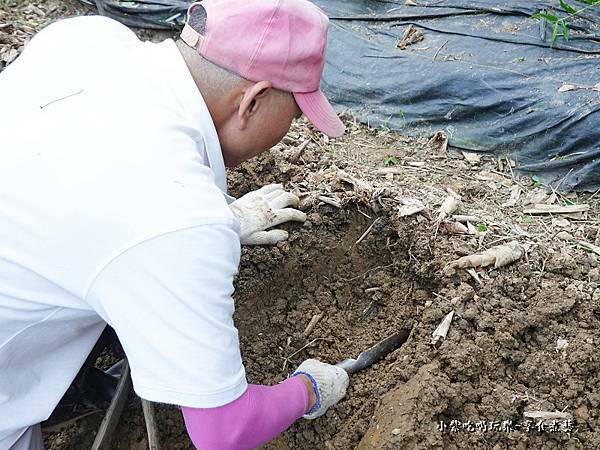挖白雪玉山藥-金好筍農場 (4).jpg