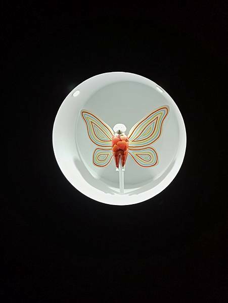 IMG20210207152338.jpg1555884302