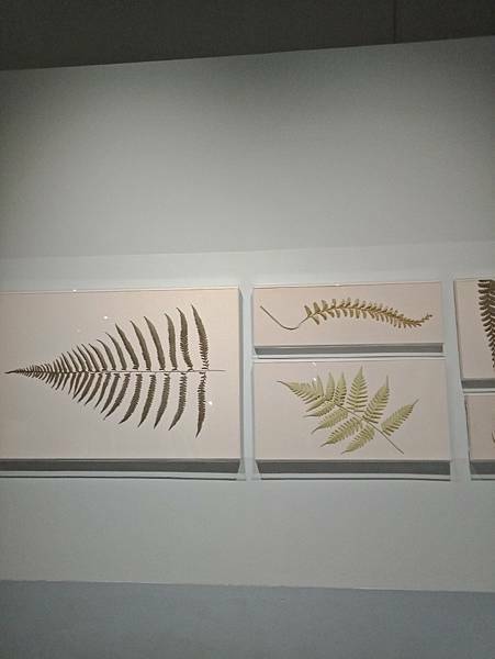 IMG20210207151526.jpg1223826648