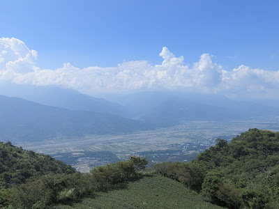 花蓮兆豐農場&金針山之旅