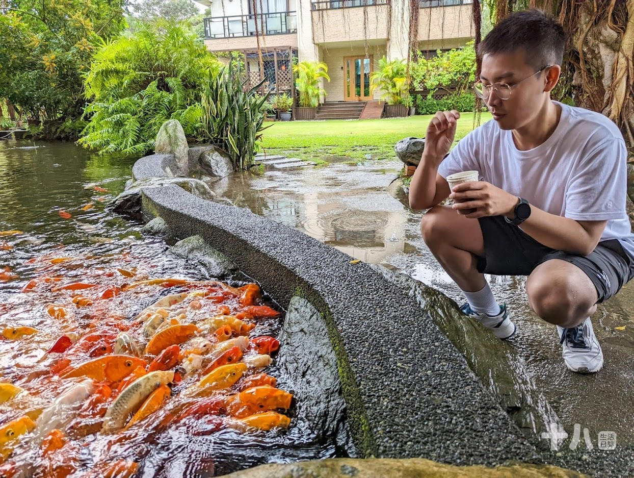 【花蓮旅遊】金澤居民宿｜享受森活旅遊、富有特色的綠建築設計，享受芬多精的綠色隧道民宿、花蓮吉安、親子住宿
