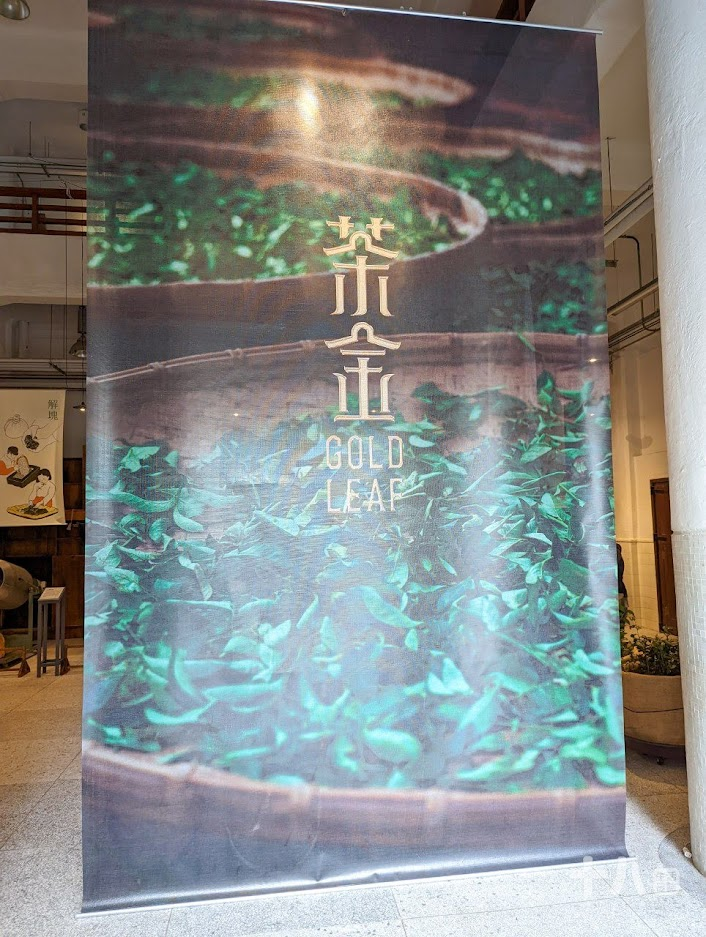 【花蓮旅遊】金澤居民宿｜享受森活旅遊、富有特色的綠建築設計，享受芬多精的綠色隧道民宿、花蓮吉安、親子住宿