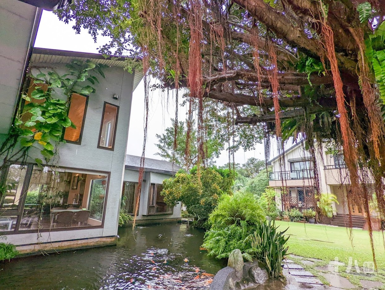 【花蓮旅遊】金澤居民宿｜享受森活旅遊、富有特色的綠建築設計，享受芬多精的綠色隧道民宿、花蓮吉安、親子住宿