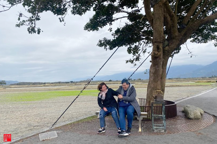 台東旅遊／台東伯朗大道上的金城武樹！天堂路鞦韆與食女的瘋狂相愛相殺拍照日