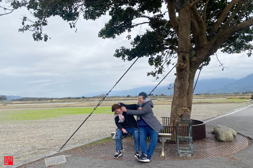 台東旅遊／台東伯朗大道上的金城武樹！天堂路鞦韆與食女的瘋狂相愛相殺拍照日