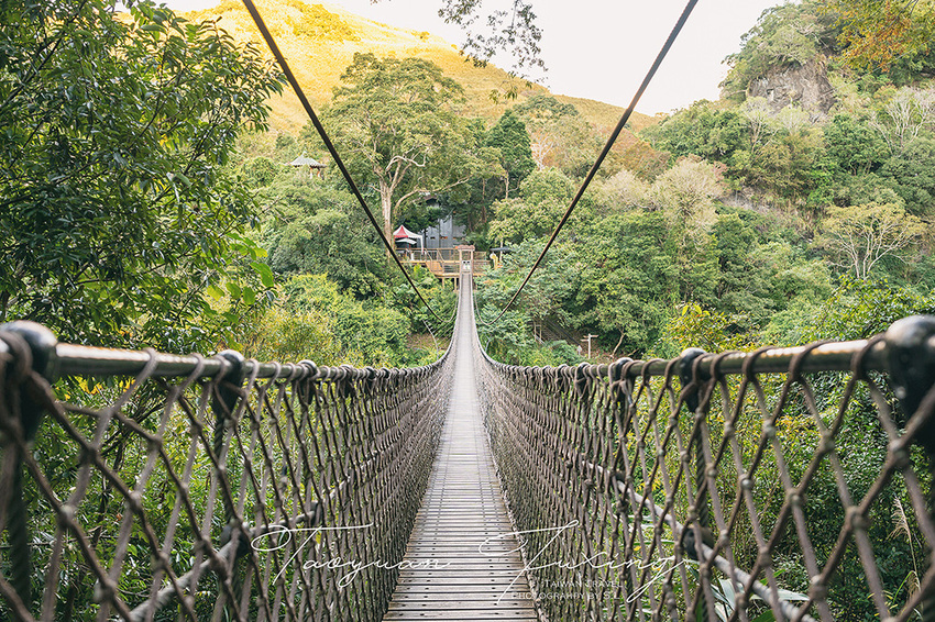 桃園.復興 | 青春品味二日輕旅行 | 徜徉於森林之中,體驗藝術、瑜珈,感受美味的原民料理