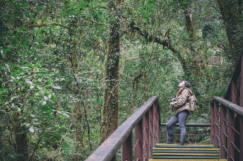 桃園.復興 | 青春品味二日輕旅行 | 徜徉於森林之中,體驗藝術、瑜珈,感受美味的原民料理