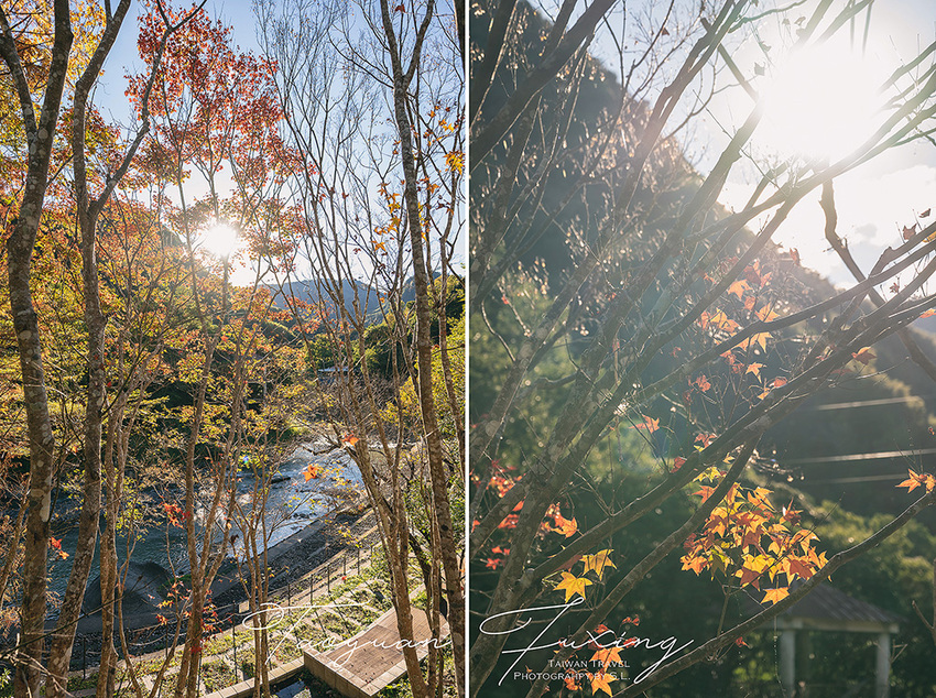桃園.復興 | 青春品味二日輕旅行 | 徜徉於森林之中,體驗藝術、瑜珈,感受美味的原民料理