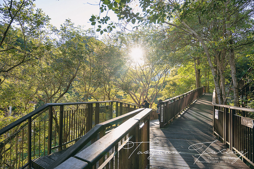 桃園.復興 | 青春品味二日輕旅行 | 徜徉於森林之中,體驗藝術、瑜珈,感受美味的原民料理