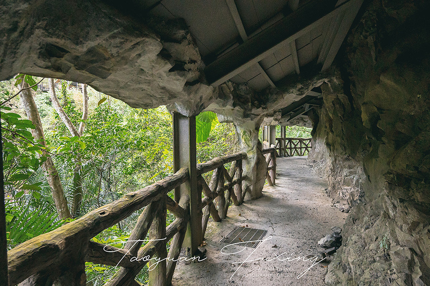 桃園.復興 | 青春品味二日輕旅行 | 徜徉於森林之中,體驗藝術、瑜珈,感受美味的原民料理
