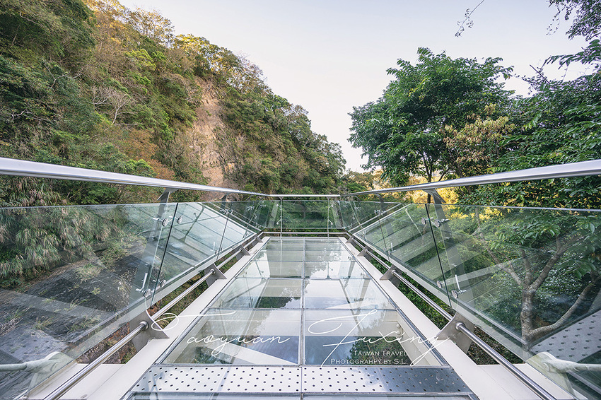 桃園.復興 | 青春品味二日輕旅行 | 徜徉於森林之中,體驗藝術、瑜珈,感受美味的原民料理