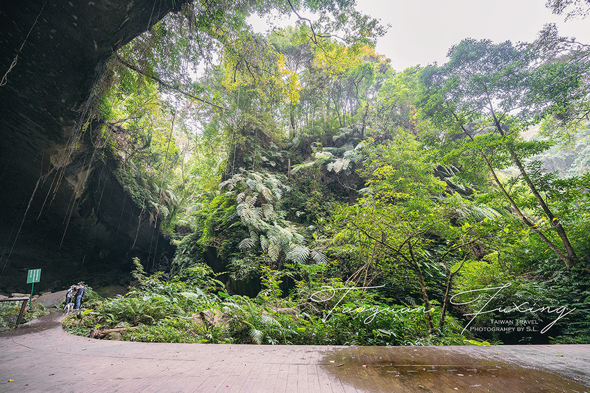 桃園.復興 | 青春品味二日輕旅行 | 徜徉於森林之中,體驗藝術、瑜珈,感受美味的原民料理