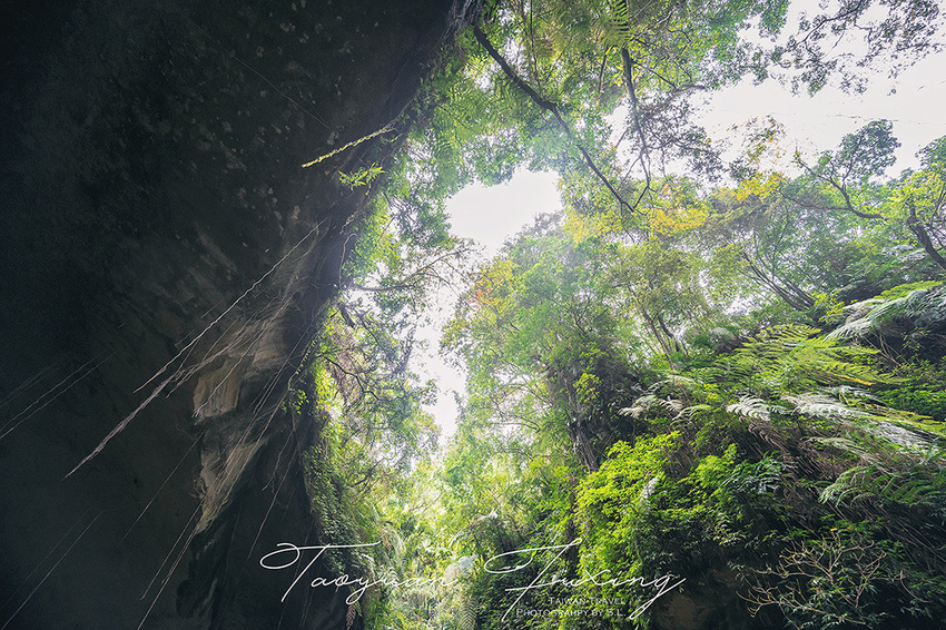 桃園.復興 | 青春品味二日輕旅行 | 徜徉於森林之中,體驗藝術、瑜珈,感受美味的原民料理