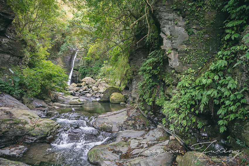 桃園.復興 | 青春品味二日輕旅行 | 徜徉於森林之中,體驗藝術、瑜珈,感受美味的原民料理