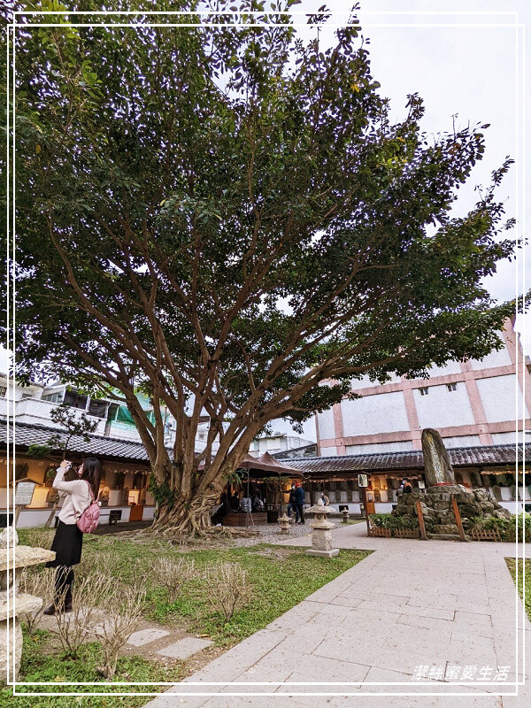 吉安慶修院-花蓮/延續百年情感~漫步清幽日式建築寺院