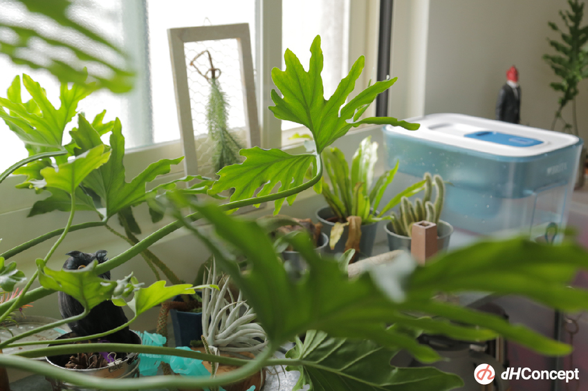 專訪/客廳沒沙發又怎樣？自由工作者Alan 超Chill日系居家空間