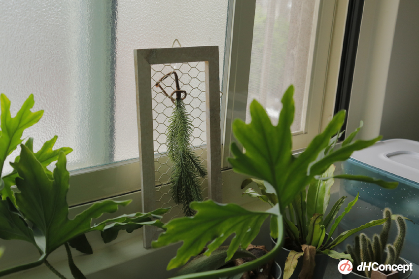 專訪/客廳沒沙發又怎樣？自由工作者Alan 超Chill日系居家空間