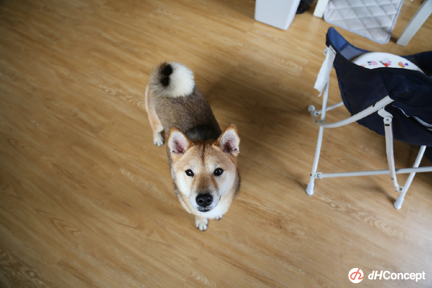 專訪/客廳沒沙發又怎樣？自由工作者Alan 超Chill日系居家空間