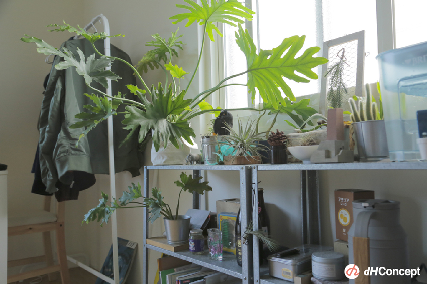 專訪/客廳沒沙發又怎樣？自由工作者Alan 超Chill日系居家空間