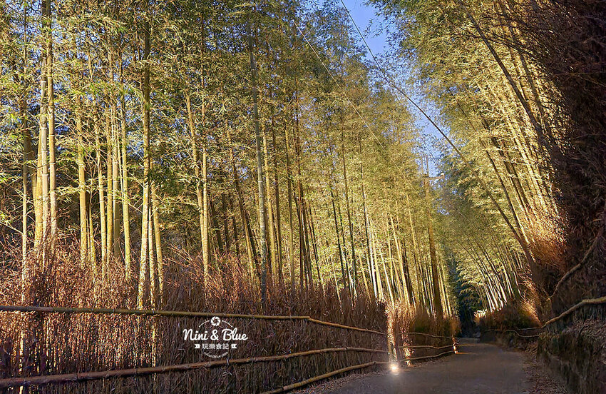 2022南投竹山燈會 | 竹山一日遊，下坪吊橋花海、菸葉館、竹山文化園區、天梯、大鞍竹海隧道 @Nini and Blue  玩樂食記