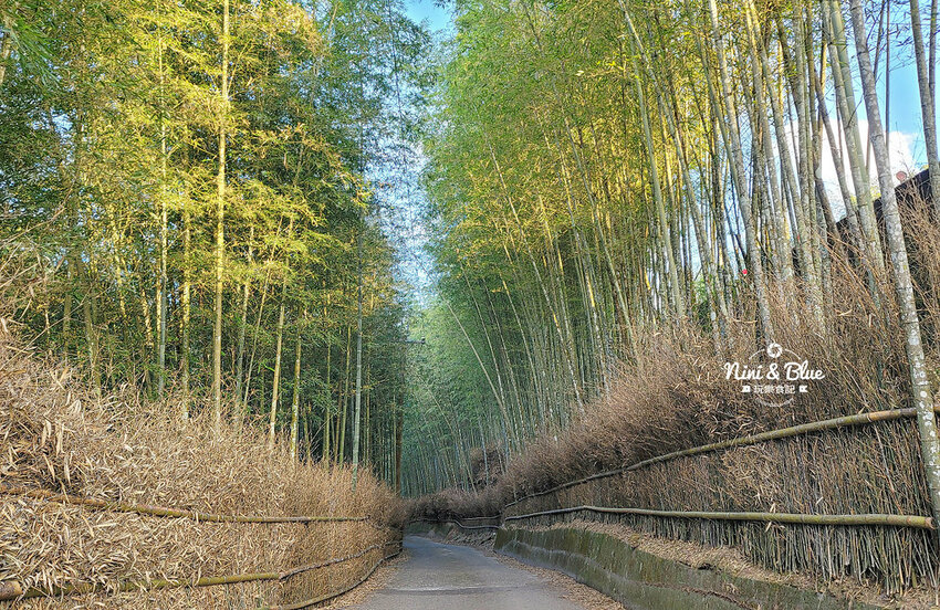 2022南投竹山燈會 | 竹山一日遊，下坪吊橋花海、菸葉館、竹山文化園區、天梯、大鞍竹海隧道 @Nini and Blue  玩樂食記