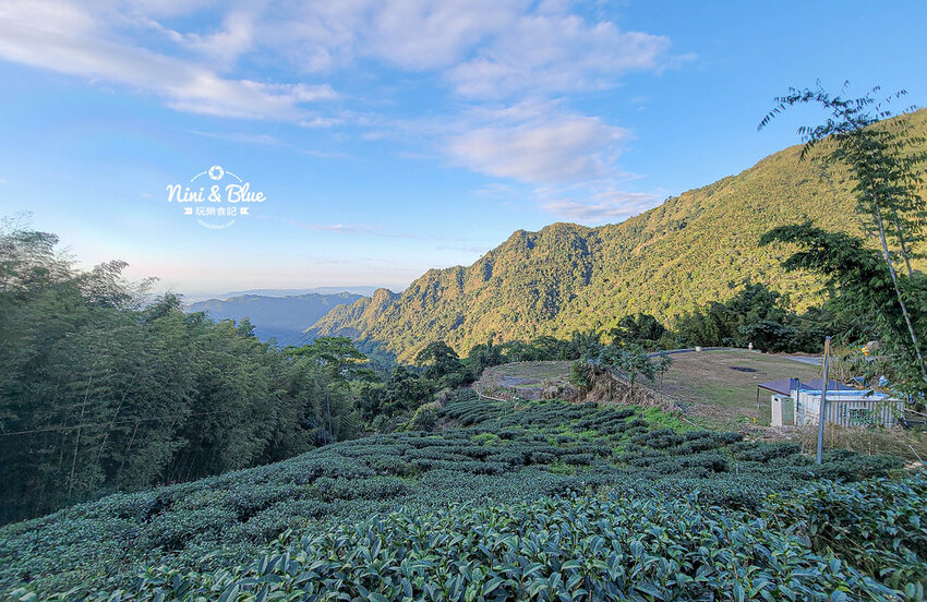 2022南投竹山燈會 | 竹山一日遊，下坪吊橋花海、菸葉館、竹山文化園區、天梯、大鞍竹海隧道 @Nini and Blue  玩樂食記