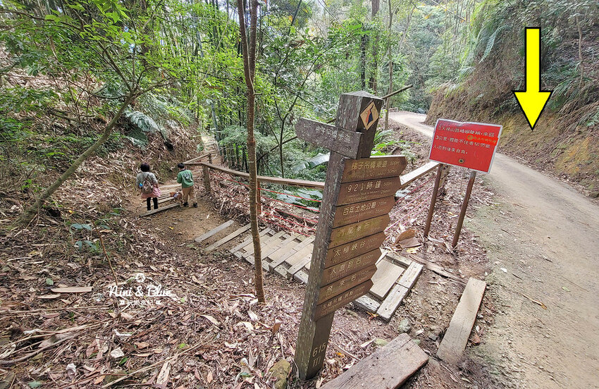 2022南投竹山燈會 | 竹山一日遊，下坪吊橋花海、菸葉館、竹山文化園區、天梯、大鞍竹海隧道 @Nini and Blue  玩樂食記