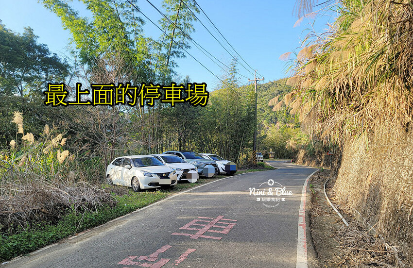 2022南投竹山燈會 | 竹山一日遊，下坪吊橋花海、菸葉館、竹山文化園區、天梯、大鞍竹海隧道 @Nini and Blue  玩樂食記