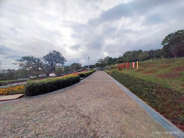Park blossoms at「 北投社三層崎公園」, Taipei, Taiwan, SJKen, Jan 19, 2022.