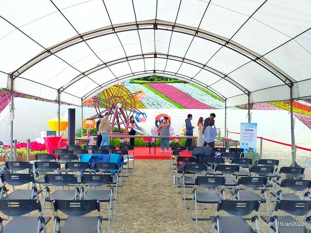 Park blossoms at「 北投社三層崎公園」, Taipei, Taiwan, SJKen, Jan 19, 2022.